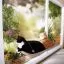 Подушка наоконная для кошки на присосках Sunny Seat Window Bed - 5